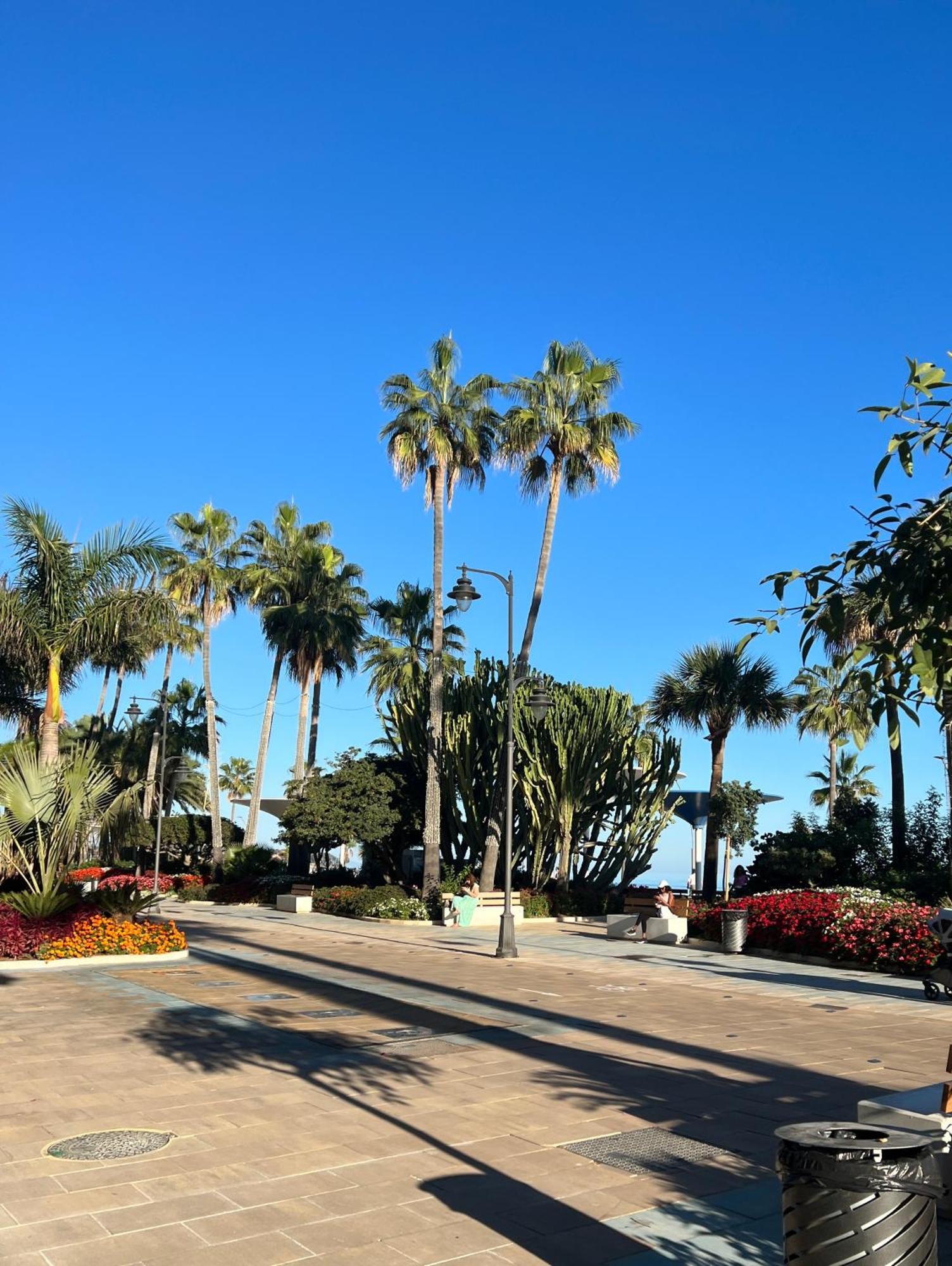 Casa San Miguel Daire Estepona Dış mekan fotoğraf