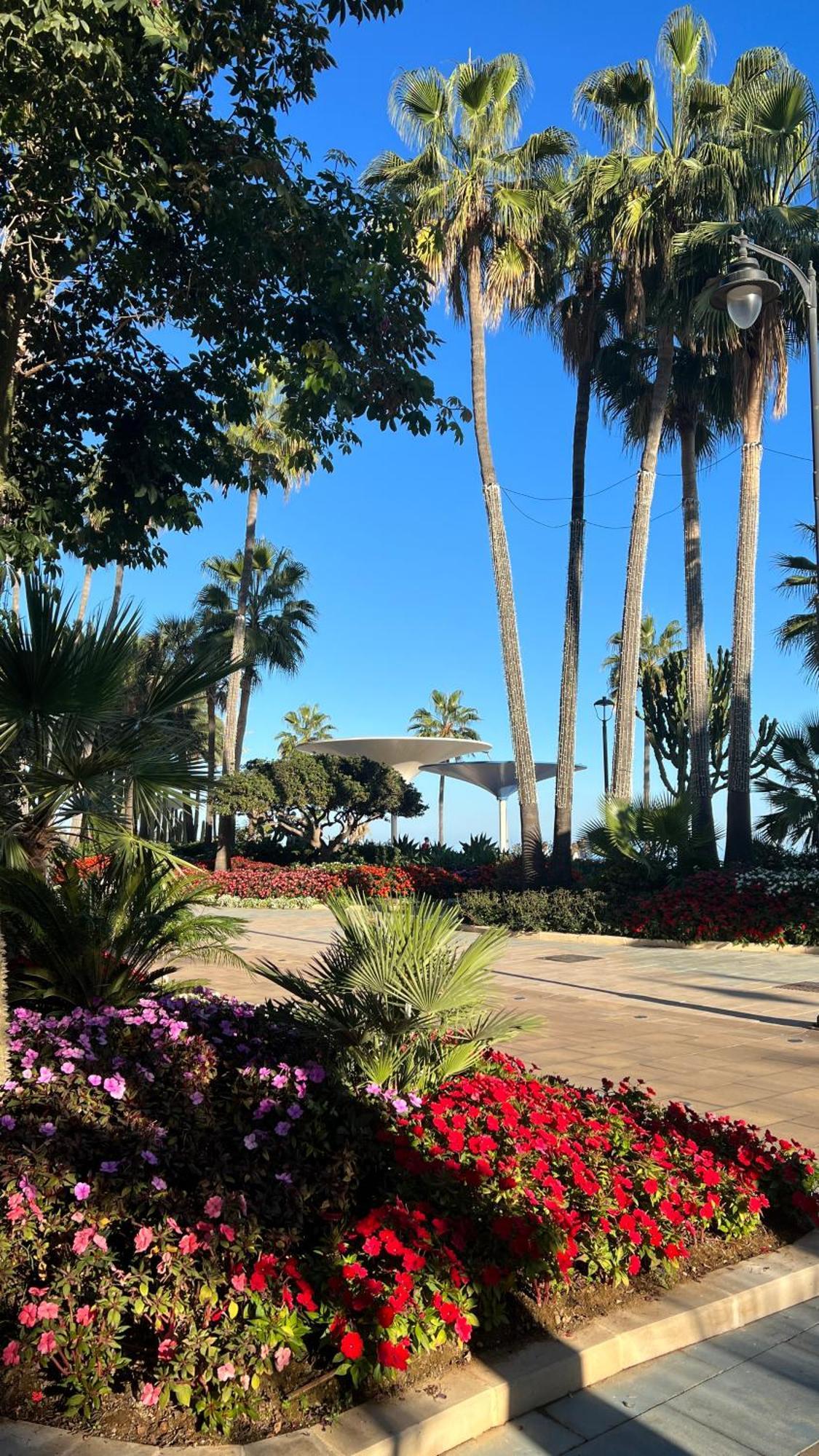 Casa San Miguel Daire Estepona Dış mekan fotoğraf